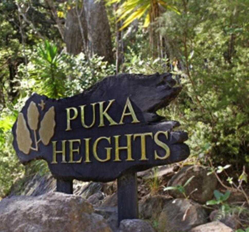 Puka Heights Panzió Pauanui Kültér fotó